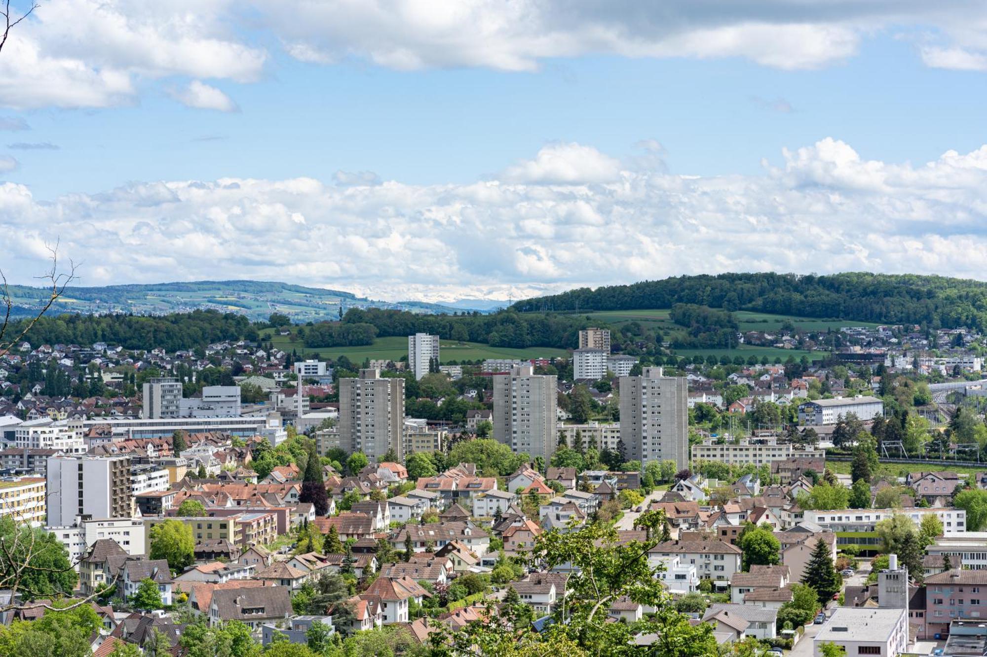 Tiny House Chez Claudine - Relaxen, Workspace, Naehe Thermen, Netflix, Free Parking & Wifi Brugg  Esterno foto