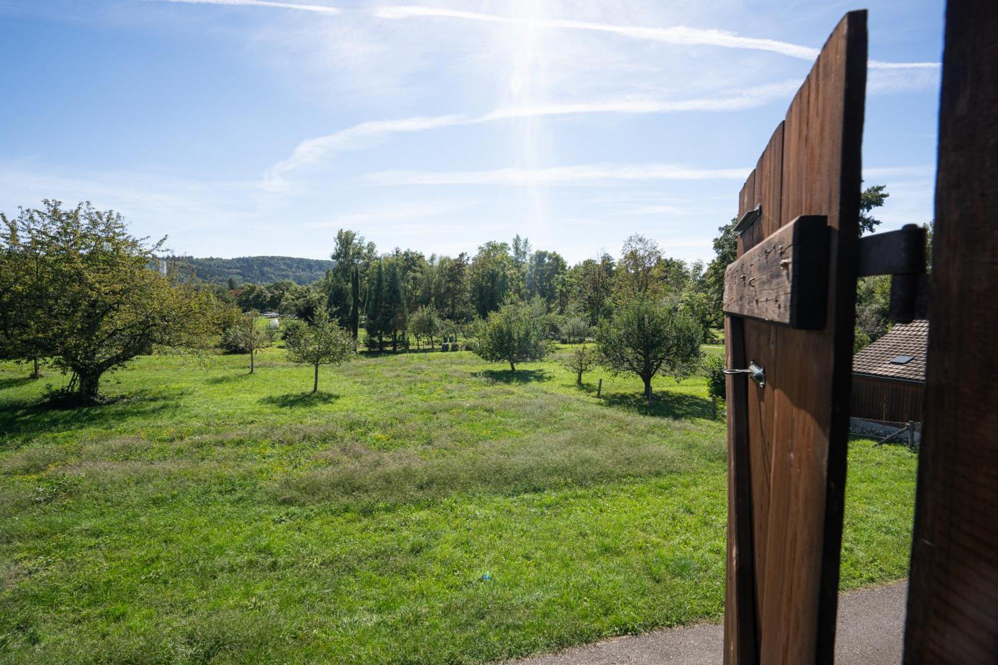Tiny House Chez Claudine - Relaxen, Workspace, Naehe Thermen, Netflix, Free Parking & Wifi Brugg  Esterno foto
